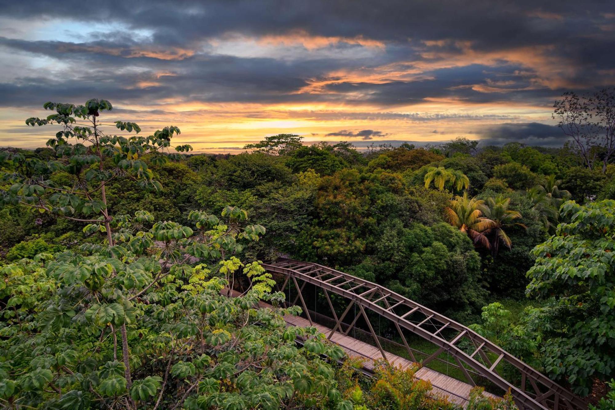 Botanika Osa Peninsula, Curio Collection By Hilton Puerto Jiménez Exterior foto
